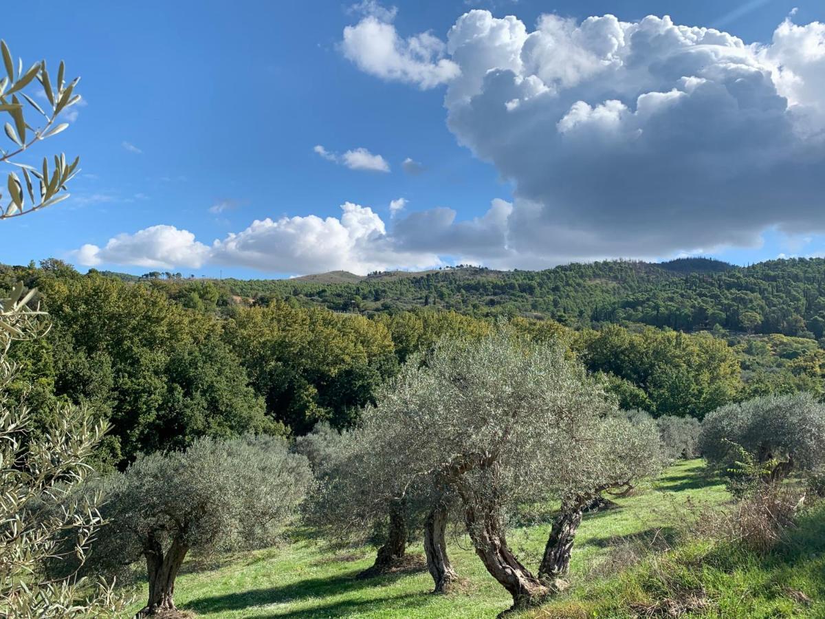 Villa Santa Margherita Chiaramonte Gulfi Exterior foto